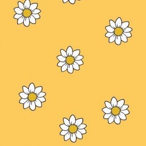 Meet your Posher, Ivy